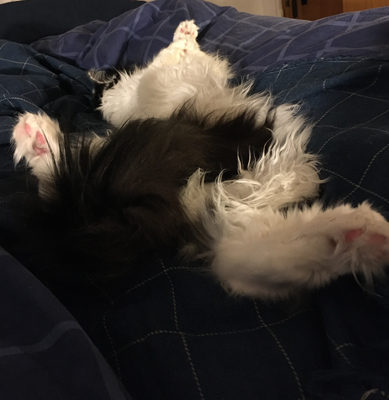 Lucifer på rygg och manspread