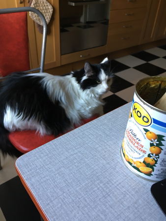 Lucifer vid frukostbordet