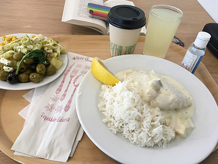 Fisk ris och grönsaker