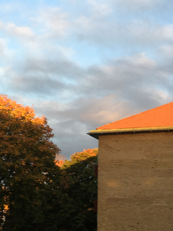 Hösthimmel över tak och trädkronor