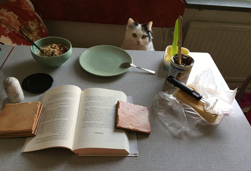 Citrus vid frukostbordet