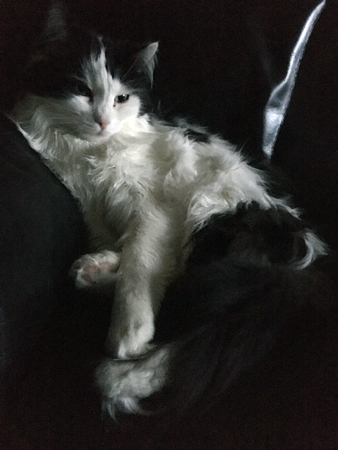 Lucifer i Annas fåtölj