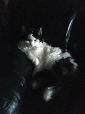 Lucifer i Annas fåtölj