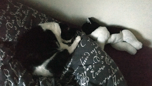 Mini och ? på Es säng