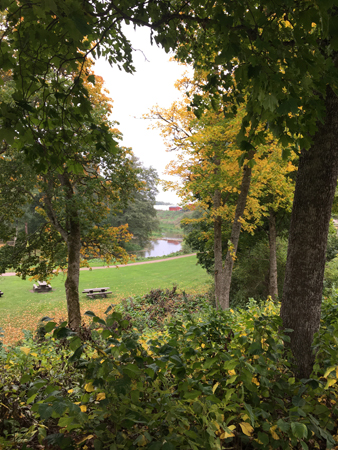 Ån mellan träden Ulva