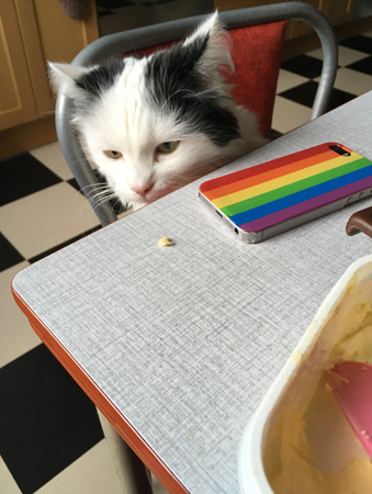 Citrus får en smula ost