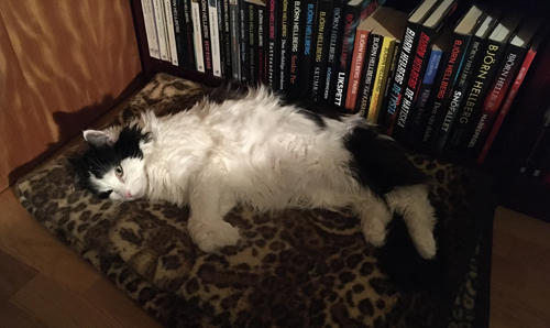 Lucifer på leopardfilten