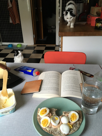 Tisslingarna och jag äter lunch