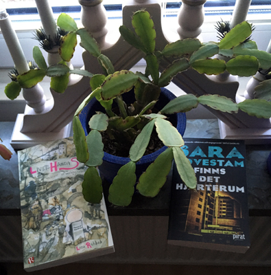 Böckerna Livets hårda skola och Finns det hjärterum