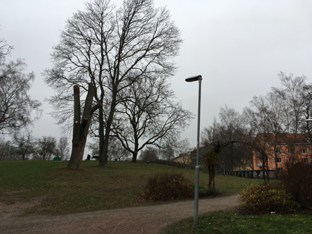 Höganäsparken i november