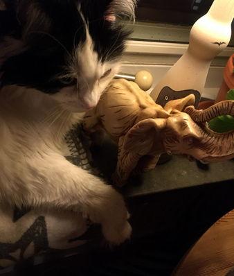 Lucifer i fönstret med elefanten