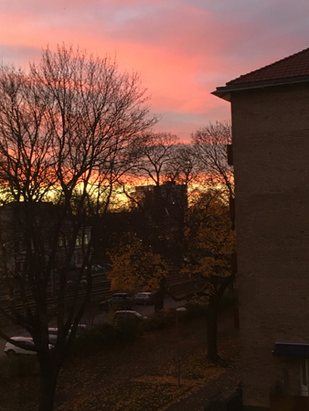 Solnedgång i november