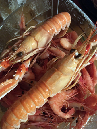 Havskräftor och räkor