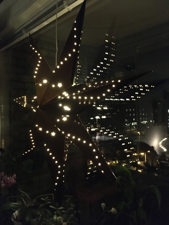 Svarta adventsstjärnan