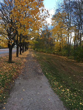 Höstpromenad längs Råbyvägen