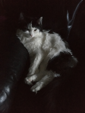 Lucifer i fåtöljen