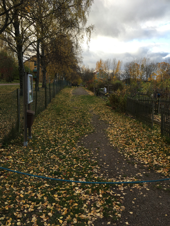 Höst på gångväg till Höganäsparken