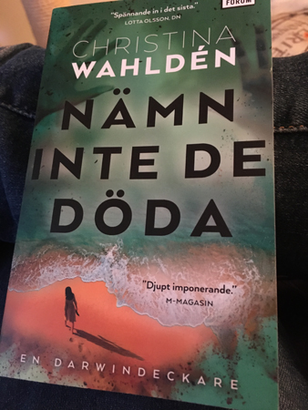 Nämn inte de döda av Christina Wahldén