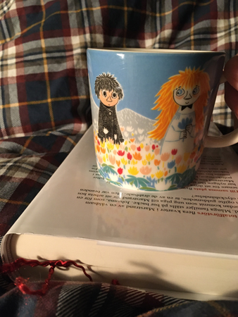 Muminmuggen på min bok