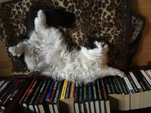 Lucifer bland bokhyllorna