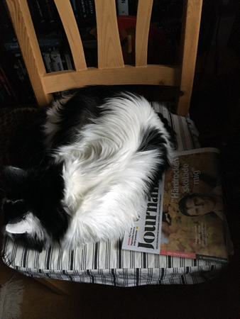 Lucifer sover på stolen med Journalisten