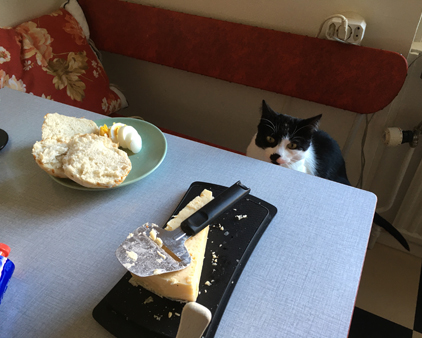 Mini vid köksbordet