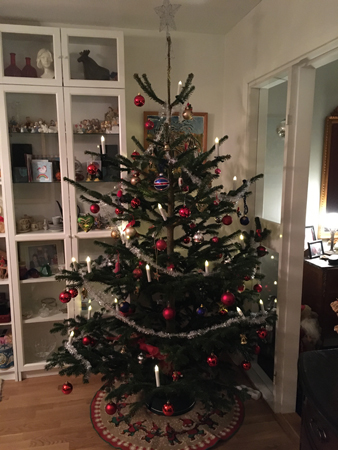 Granen 2020 är klädd