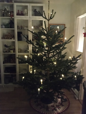 Julgransljusen är i granen