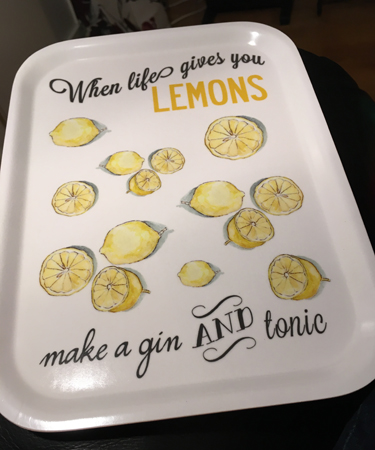 Bricka When life gives you lemons make a gin and tonic