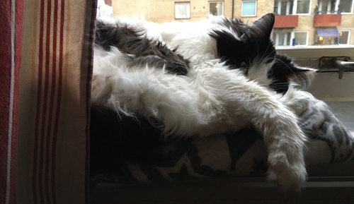 Lucifer i fönstret tittar med ett öga