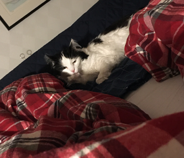 Lucifer på bersök i sovrummet