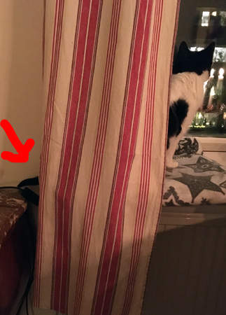 Mini i fönstret och svanstippen sticker fram bakom gardinen