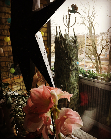 Årets 2020 julgran på balkongen