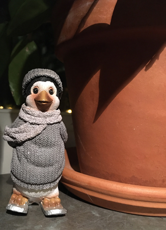 Pingvin vid blomkruka