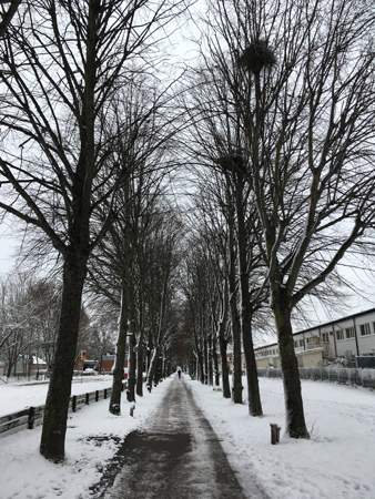 Annandagen i Höganäs Uppsala