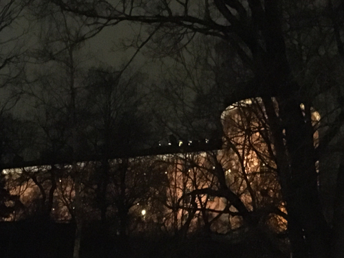 Lucia på slottstaket