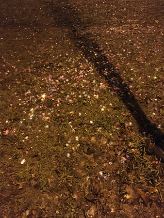 Nåt glittrar i gräset