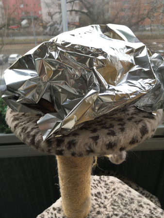 Kalkon på svalning på klätterpelaren