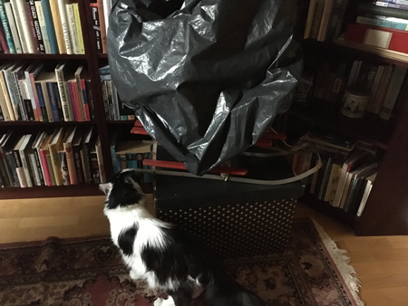 Lucifer och brun jullåda