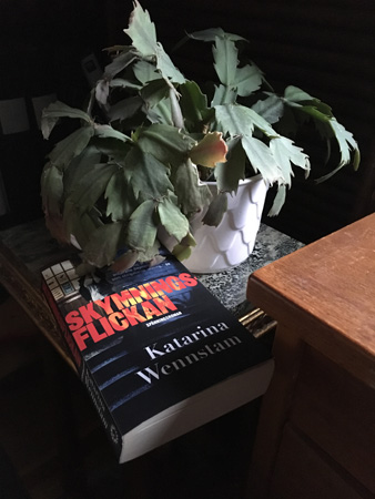 Boken Skymningsflickan vid kaktusen i Bokrummet