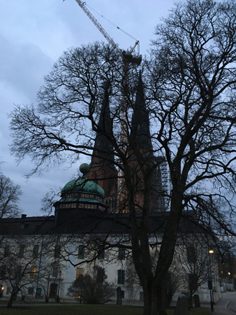 Domkyrkotornen bakom Gustavianum