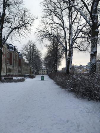 Snöig allé vid Österplan