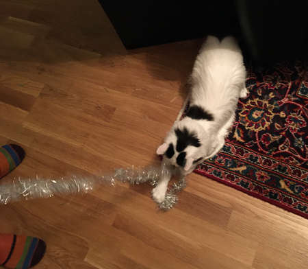 Anna och Citrus har dragkamp om glittret