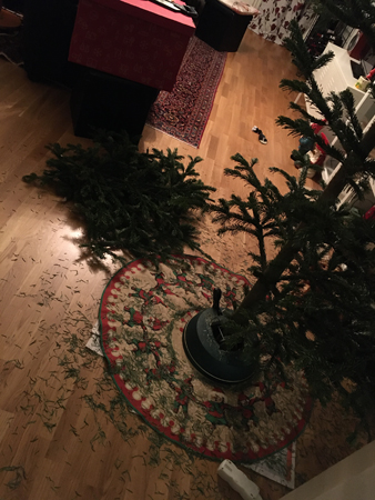 Vår före detta gran