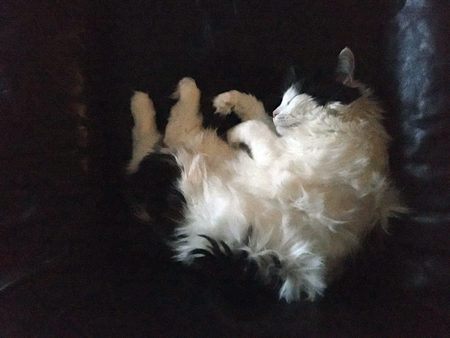 Lucifer sover i Annas fåtölj