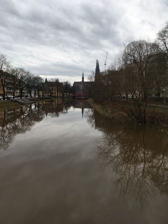 Nyårsdagspromenad vid ån