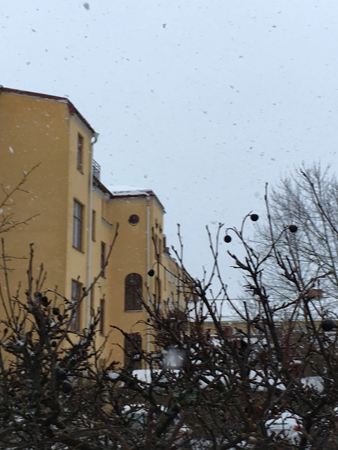 Baksidan av gult hus på Storgatan