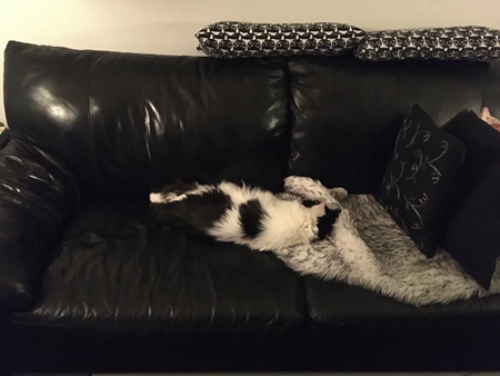 Lucifer är en halv soffa lång