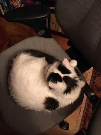 Citrus på skrivbordsstolen frå jobbet