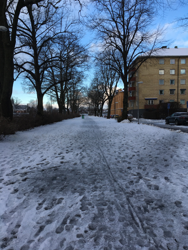 Halkig gångstig vid Österplan